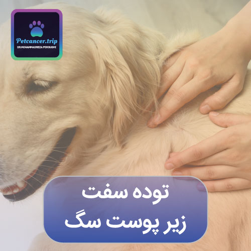 توده سفت زیر پوست سگ