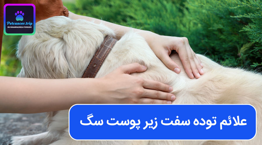 علائم توده سفت زیر پوست سگ
