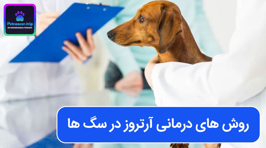 روش های درمانی آرتروز در سگ ها