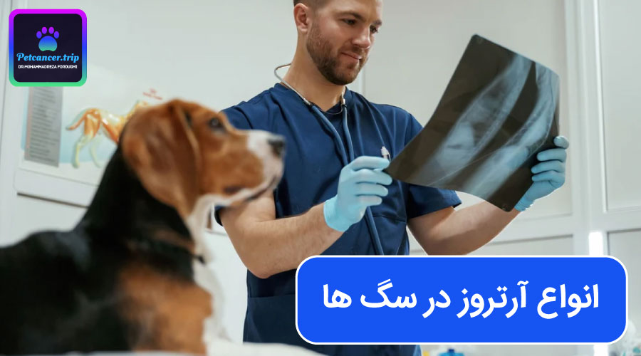 انواع آرتروز در سگ ها