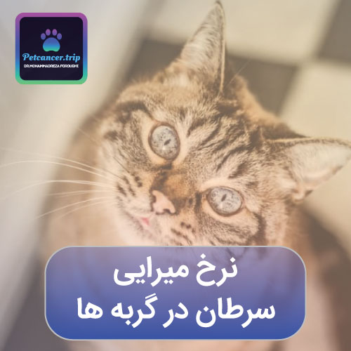 نرخ میرایی سرطان در گربه ها