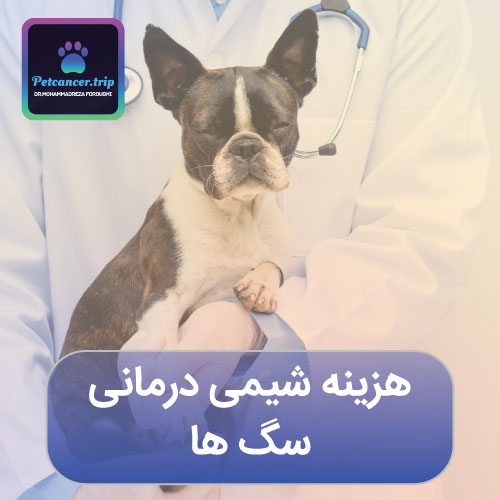 هزینه شیمی درمانی سگ ها