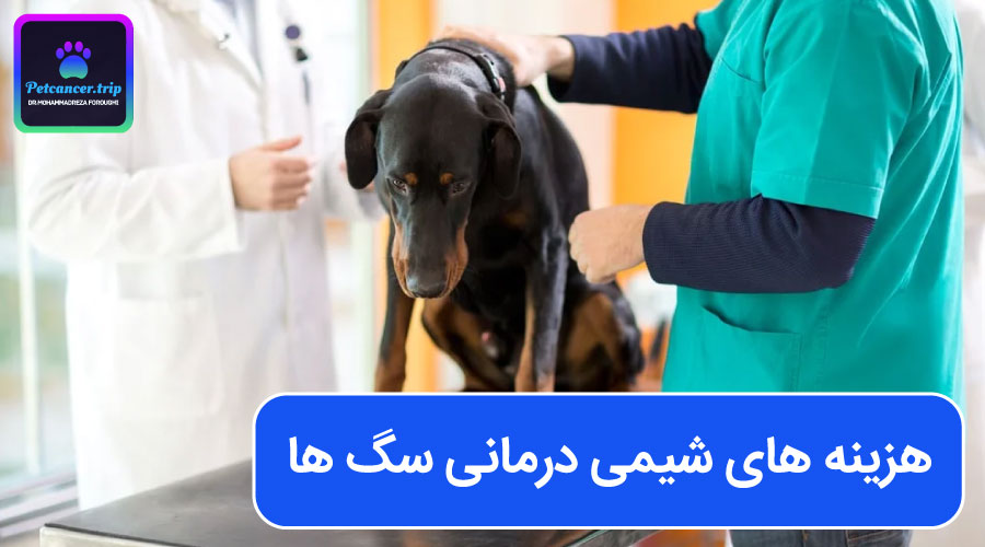 هزینه های شیمی درمانی سگ ها