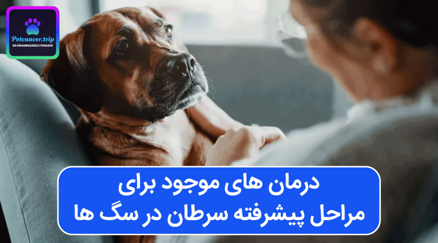 درمان های موجود برای مراحل پیشرفته سرطان در سگ ها