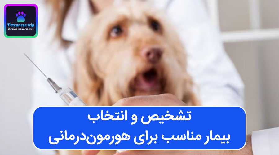 تشخیص و انتخاب بیمار مناسب برای هورمون‌درمانی