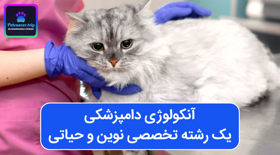 آنکولوژی دامپزشکی: یک رشته تخصصی نوین و حیاتی