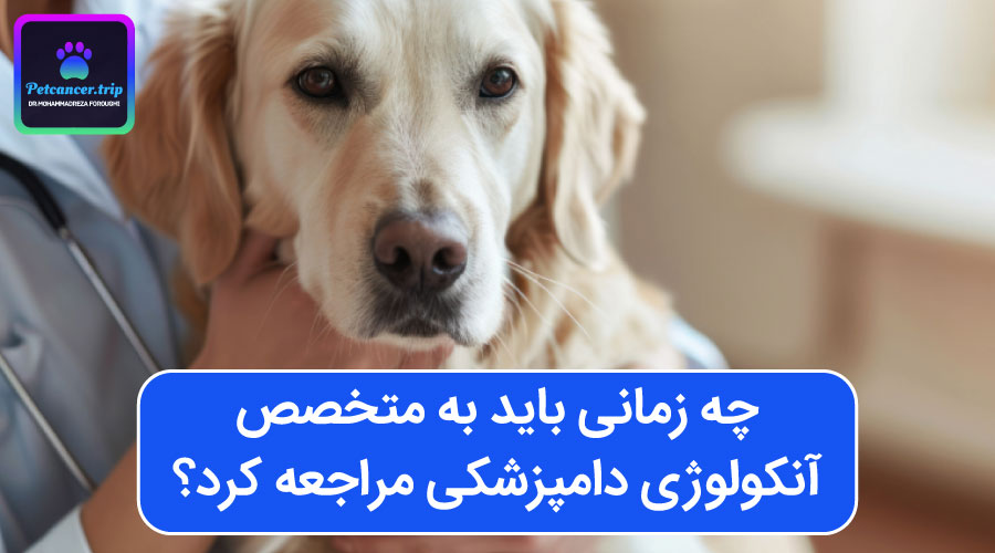 چه زمانی باید به متخصص آنکولوژی دامپزشکی مراجعه کرد