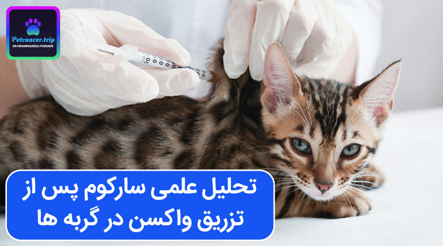 تحلیل علمی سارکوم پس از تزریق واکسن در گربه ها