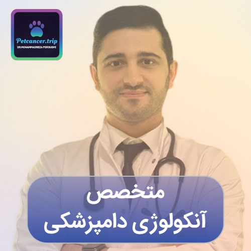 متخصص آنکولوژی دامپزشکی
