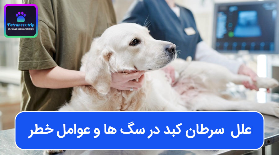 علل سرطان کبد در سگ ها