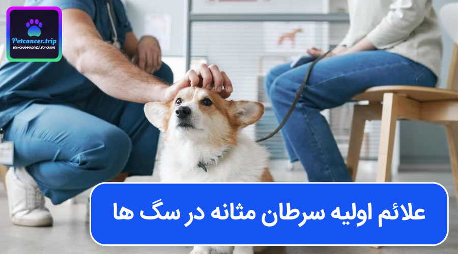 علائم اولیه سرطان مثانه در سگ ها