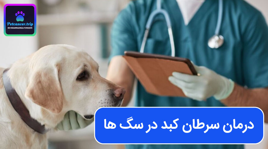 درمان سرطان کبد در سگ ها