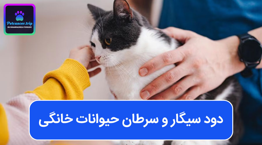 دود سیگار و سرطان حیوانات خانگی