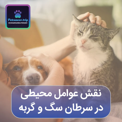 نقش عوامل محیطی در سرطان سگ و گربه