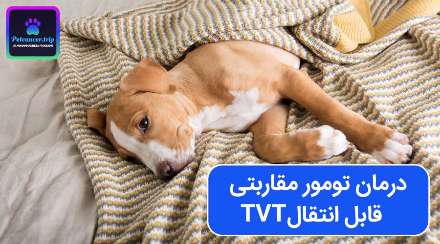 درمان تومور مقاربتی قابل انتقال TVT