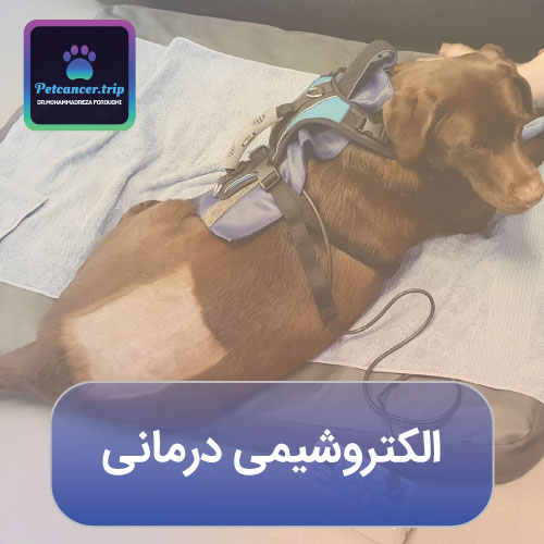الکتروشیمی درمانی