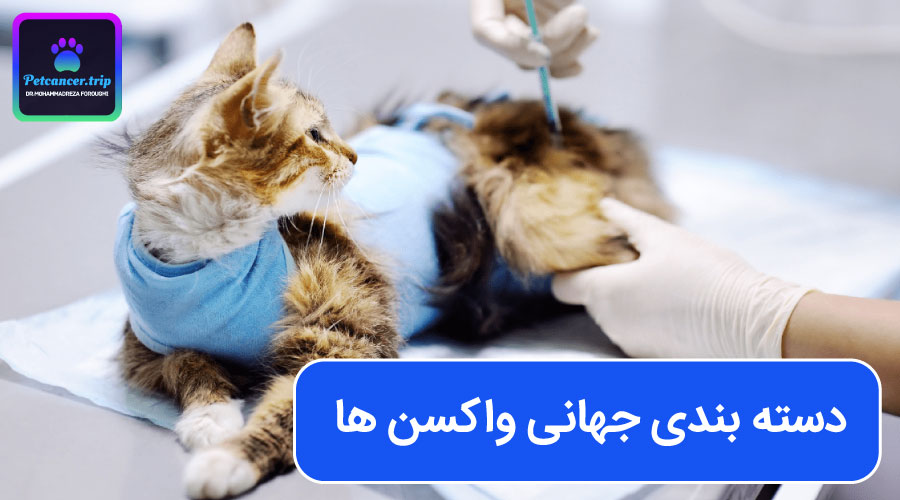 دسته بندی جهانی واکسن ها