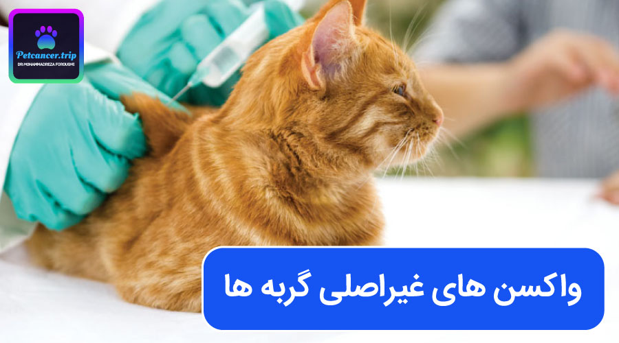 واکسن های غیراصلی گربه ها