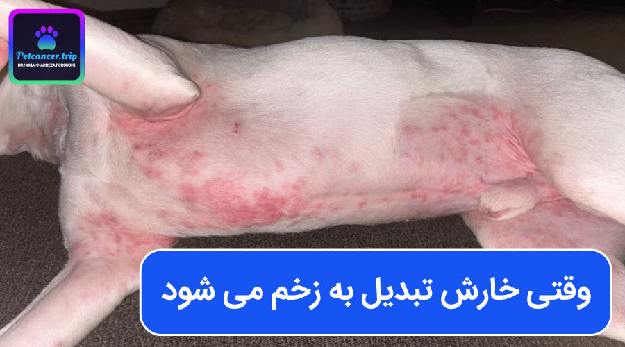 وقتی خارش تبدیل به زخم می شود